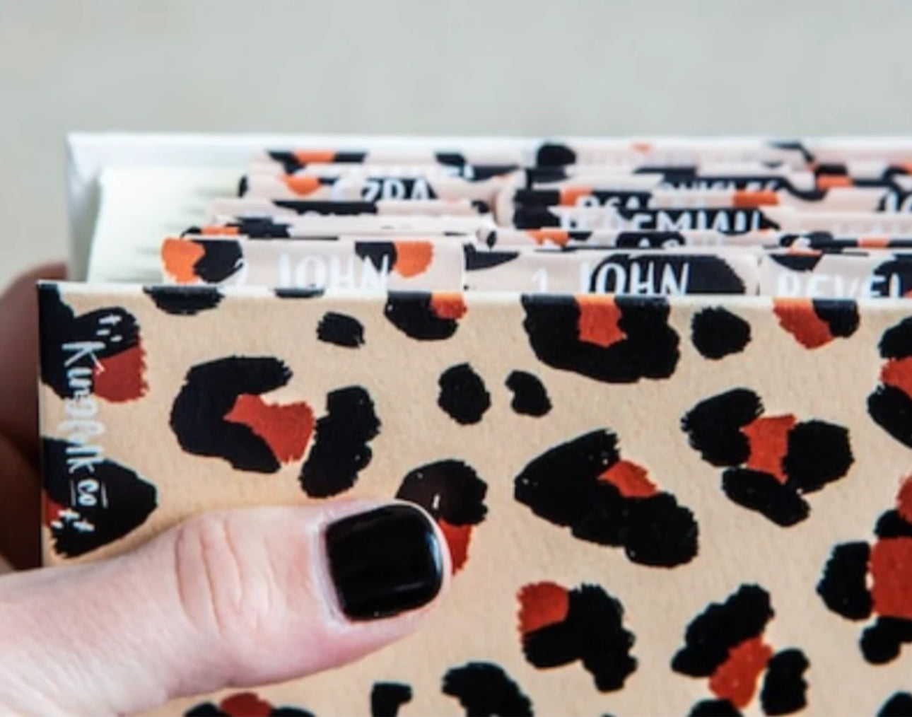Cheetah Bible Tabs